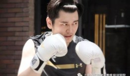 刘大锤爆料陈哲远视频,揭秘幕后真相